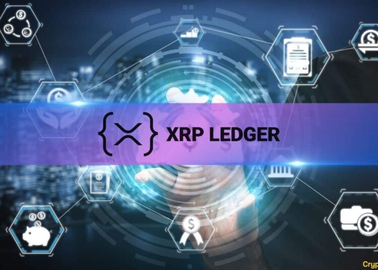 Xrp Ledger Xrpl Activity Messari Report Reveals M Market Cap