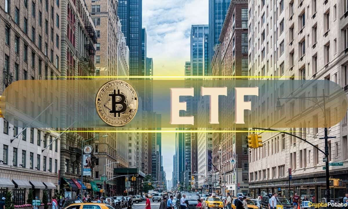 Bitcoin ETF Inflows Skyrocket: Last 4 Days Outpace First 20 (Analysis ...